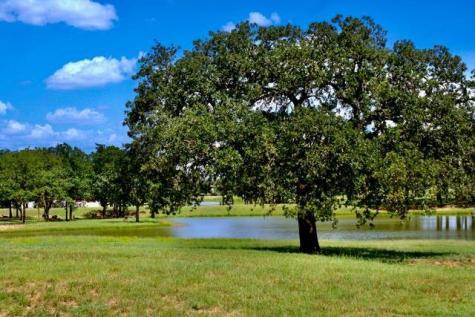 307 Interlaken Street Fredericksburg TX 78624