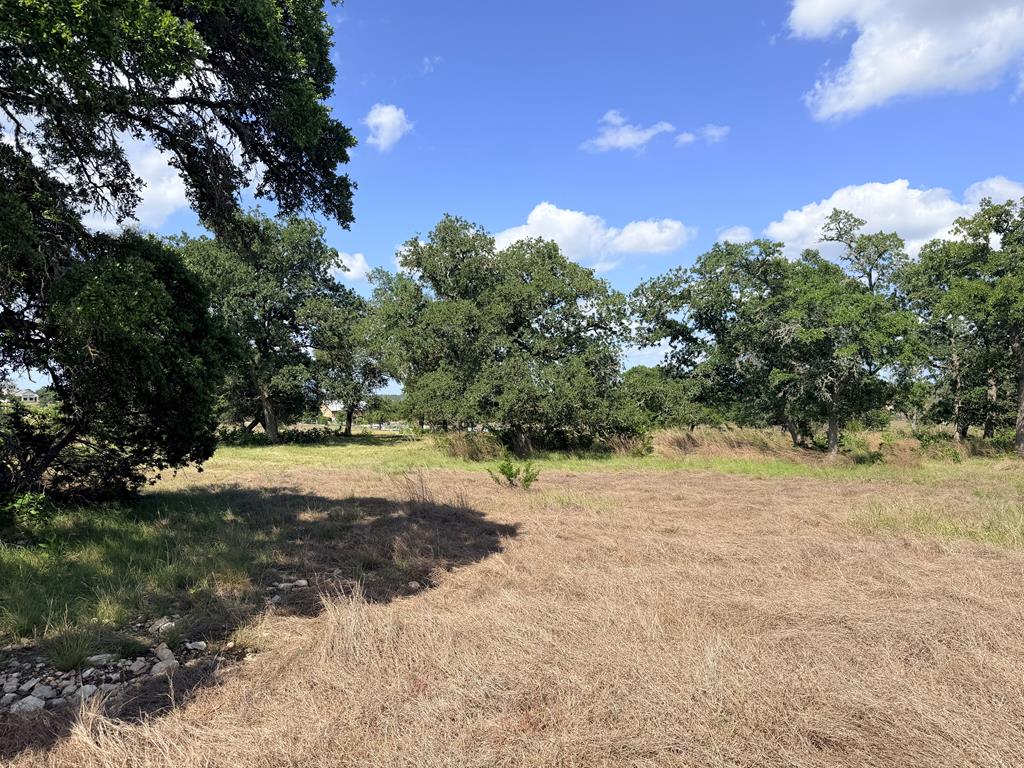 485 Inspiration Loop Fredericksburg TX 78624