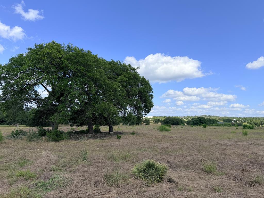 485 Inspiration Loop Fredericksburg TX 78624