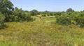 Tbd N Madden Ranch Road Valley Springs TX 76885