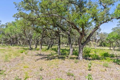 Tract 12 Ranch Road 1623 Blanco TX 78671