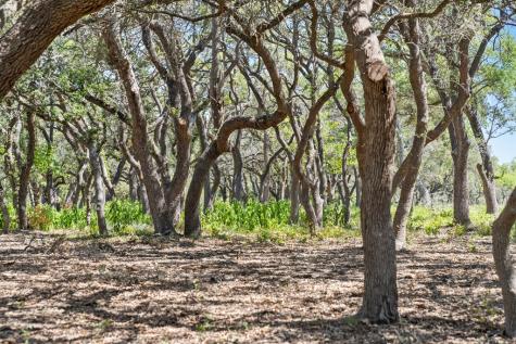 Tract 12 Ranch Road 1623 Blanco TX 78671