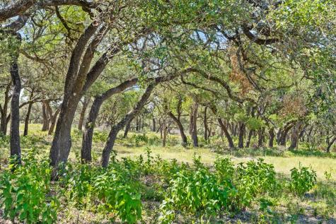 Tract 12 Ranch Road 1623 Blanco TX 78671