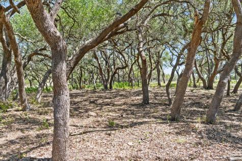 Tract 12 Ranch Road 1623 Blanco TX 78671