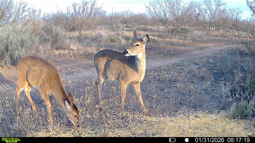 120 County Road 306 Lohn TX 76852