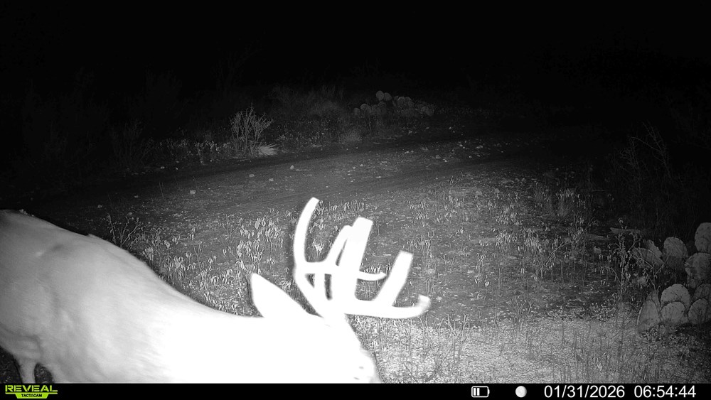 120 County Road 306 Lohn TX 76852