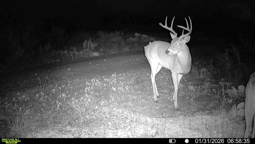 120 County Road 306 Lohn TX 76852