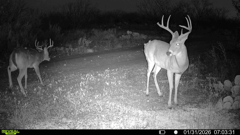 120 County Road 306 Lohn TX 76852