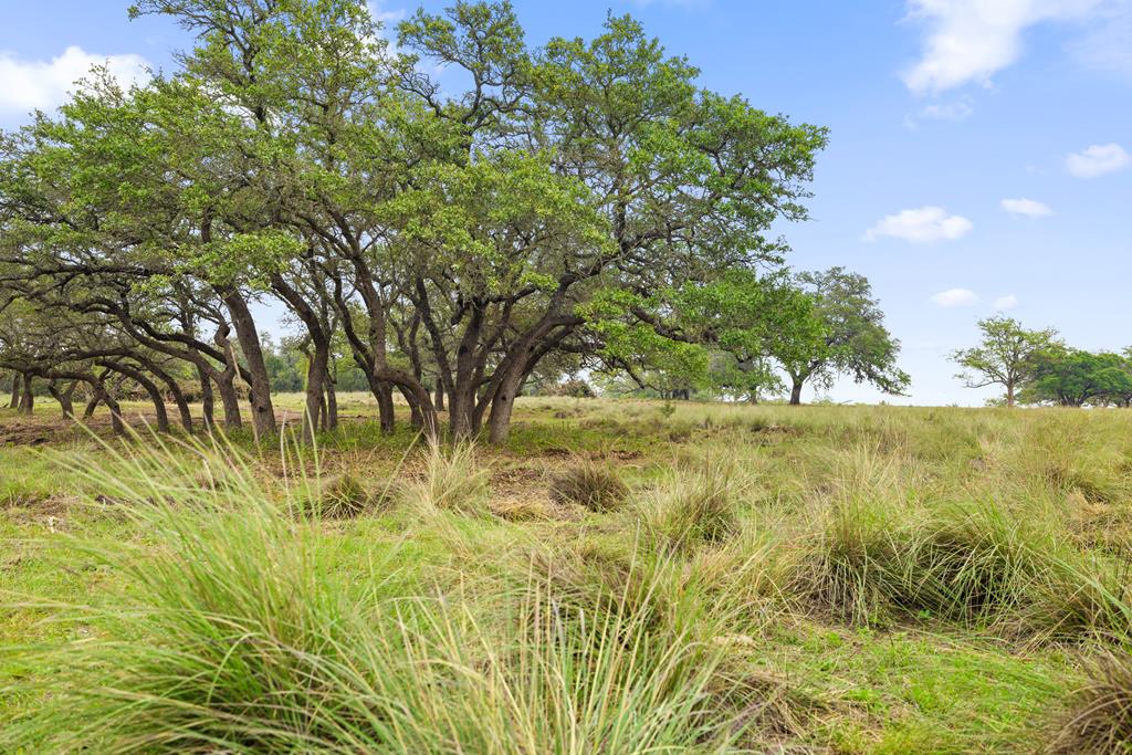 4112 Schumann Road Fredericksburg TX 78624