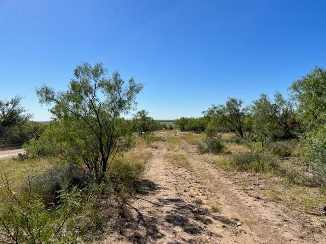 13910 County Road 4483 Millersview TX 76862