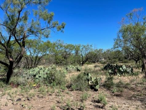13910 County Road 4483 Millersview TX 76862