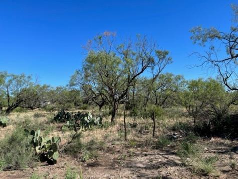13910 County Road 4483 Millersview TX 76862