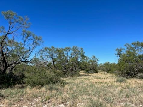 13910 County Road 4483 Millersview TX 76862