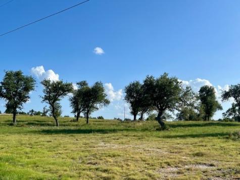 Lot 25 Badger Ridge Road Fredericksburg TX 78624