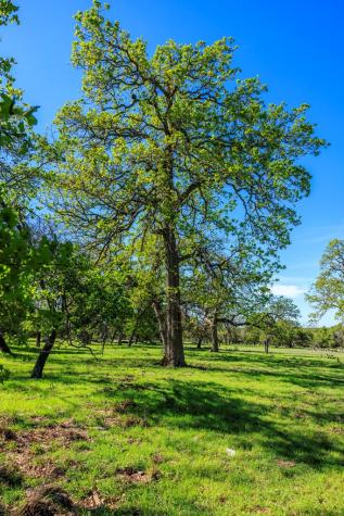 283 Dally Road Fredericksburg TX 78624