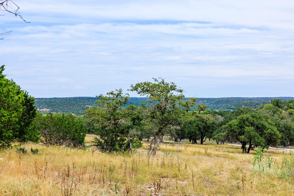 Lot 3 Oakwater Drive Fredericksburg TX 78624