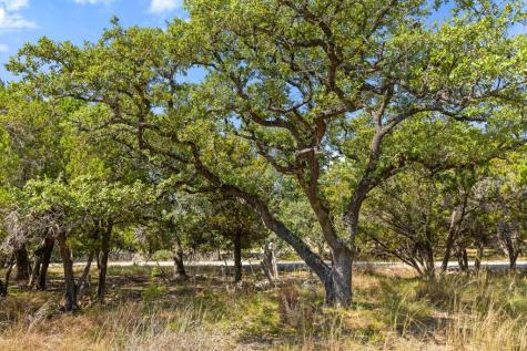 Tract 2 Of 5818 Ranch Road 165 Blanco TX 78606