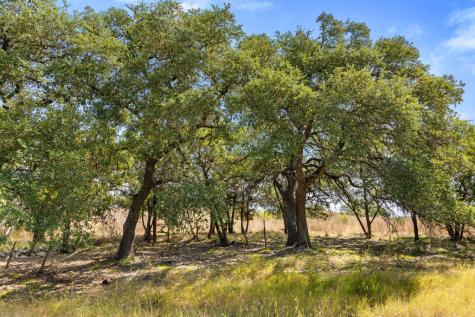 Tract 2 Of 5818 Ranch Road 165 Blanco TX 78606