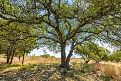 Tract 2 Of 5818 Ranch Road 165 Blanco TX 78606
