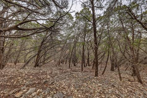 10 Ledge Stone Lane Hunt TX 78024