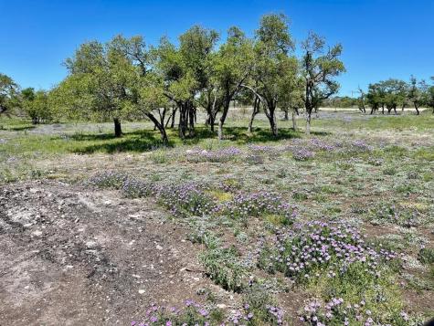 Lot 5 Jung Road Harper TX 78631