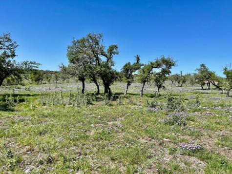 Lot 5 Jung Road Harper TX 78631