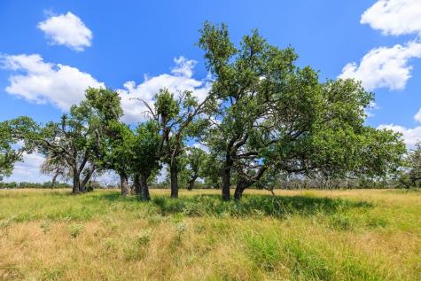 Lot 88 Stock Pond Drive Harper TX 78631