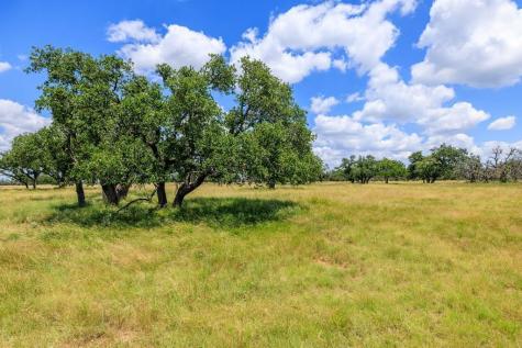 Lot 88 Stock Pond Drive Harper TX 78631