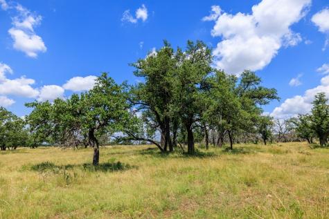 Lot 88 Stock Pond Drive Harper TX 78631