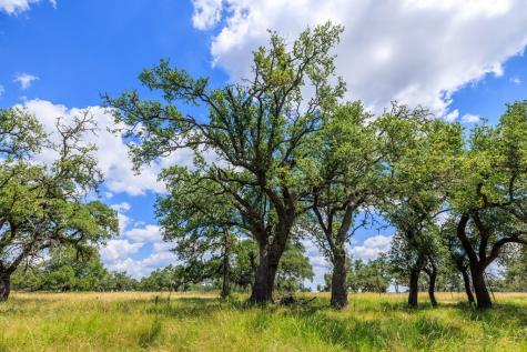 Lot 88 Stock Pond Drive Harper TX 78631