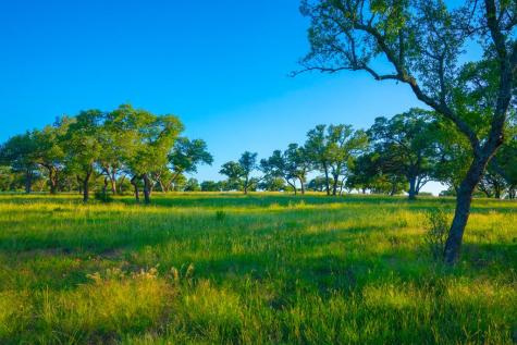 Tract 5 Wine Trail Drive Johnson City TX 78636