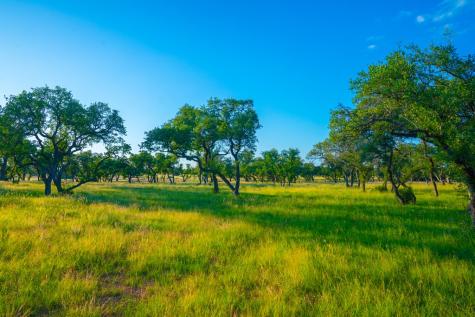 Tract 5 Wine Trail Drive Johnson City TX 78636
