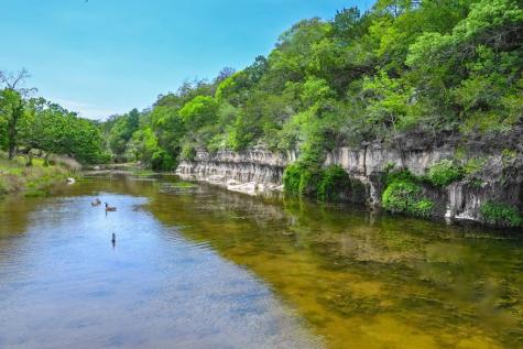 170 Goose Landing Way Harper TX 78631