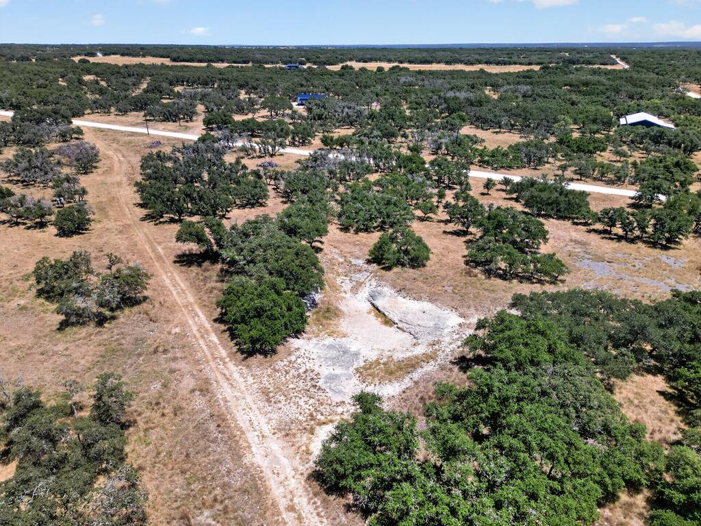 785 Legacy Oaks Drive Harper TX 78631