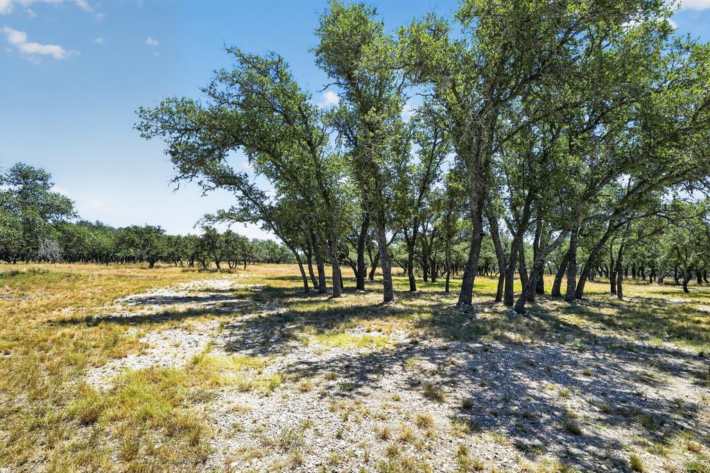 785 Legacy Oaks Drive Harper TX 78631