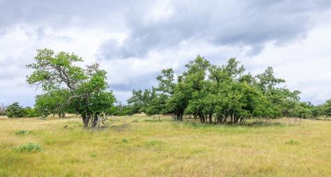 11453 N Us Highway 87 Fredericksburg TX 78624