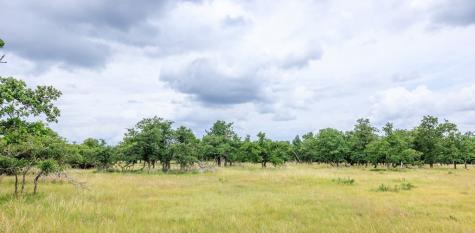 11453 N Us Highway 87 Fredericksburg TX 78624