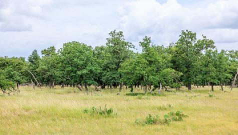 11453 N Us Highway 87 Fredericksburg TX 78624