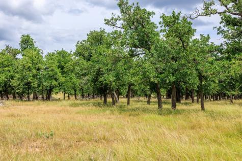 11453 N Us Highway 87 Fredericksburg TX 78624
