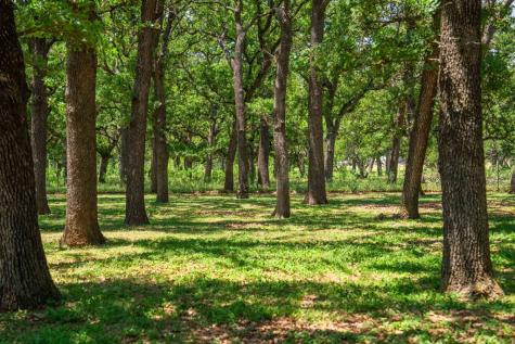 221 Pyka Road Fredericksburg TX 78624