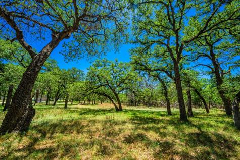 1709 N Llano Street Fredericksburg TX 78624