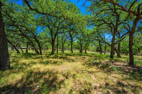 1709 N Llano Street Fredericksburg TX 78624