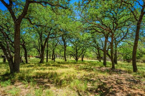 1709 N Llano Street Fredericksburg TX 78624