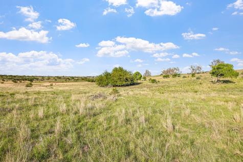 440 Junker Hill Drive Fredericksburg TX 78624