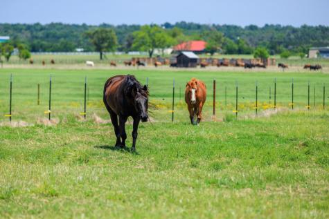 647 Eckert Road Fredericksburg TX 78624
