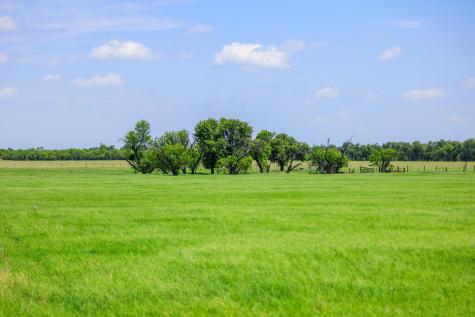 647 Eckert Road Fredericksburg TX 78624