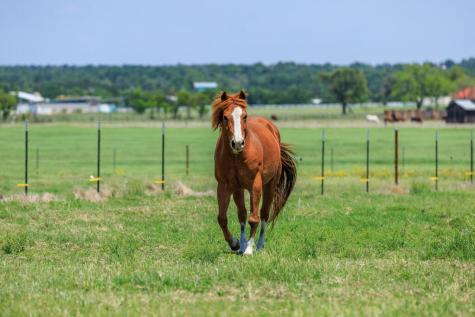 647 Eckert Road Fredericksburg TX 78624