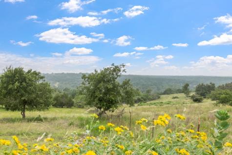 815 Nixon Creek Road Fredericksburg TX 78624