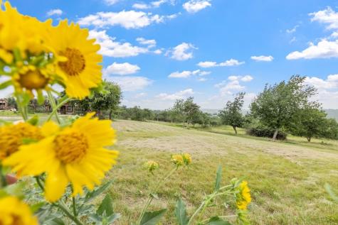 815 Nixon Creek Road Fredericksburg TX 78624
