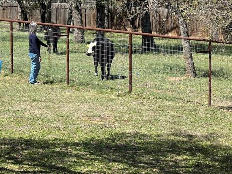 2747 Lower Crabapple Road Fredericksburg TX 78624
